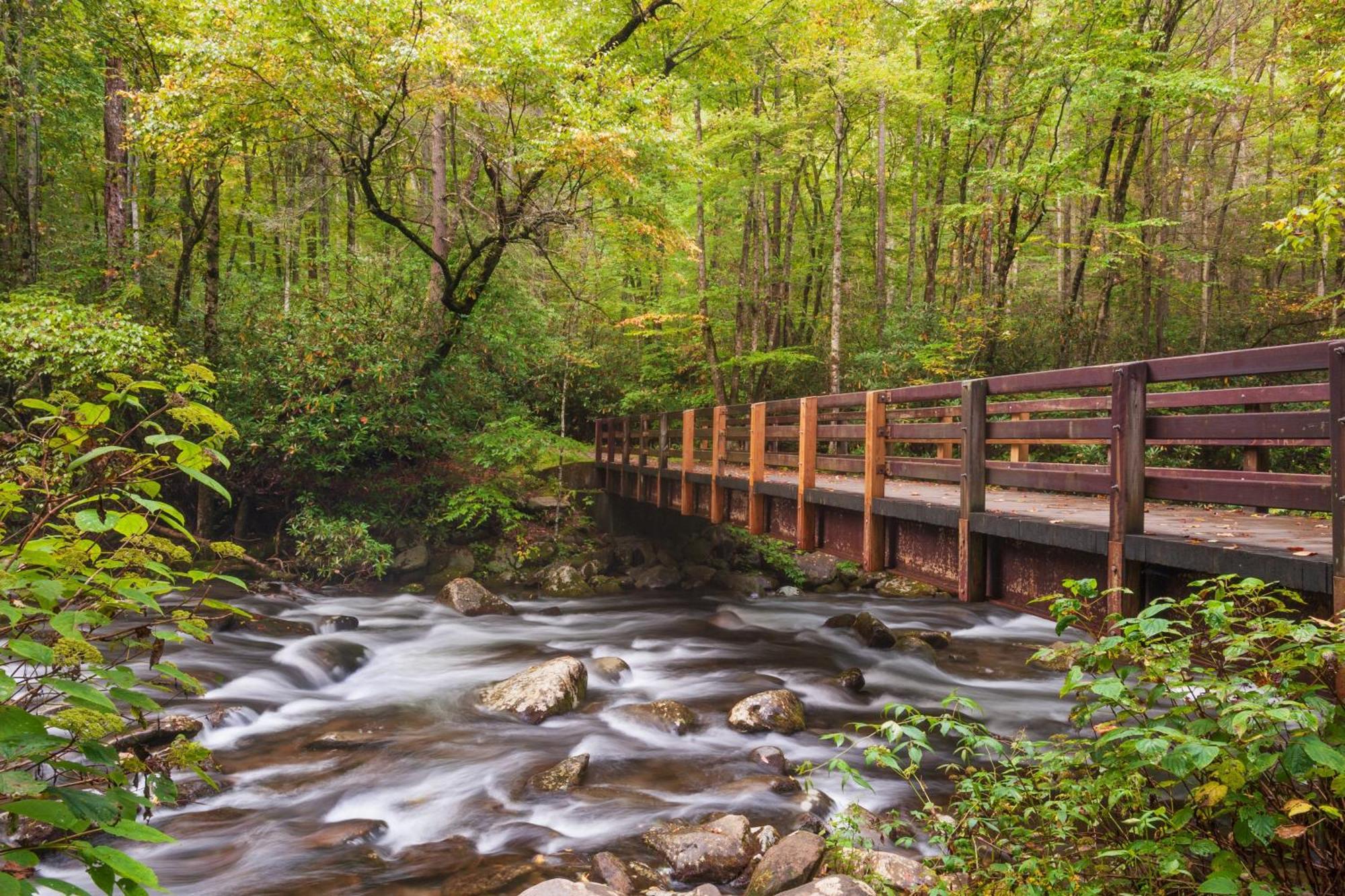 Heavenly Bear, Hot Tub, 1089 Of Free Attraction Tickets For Each Paid Day, Dollywood And More Sevierville Luaran gambar